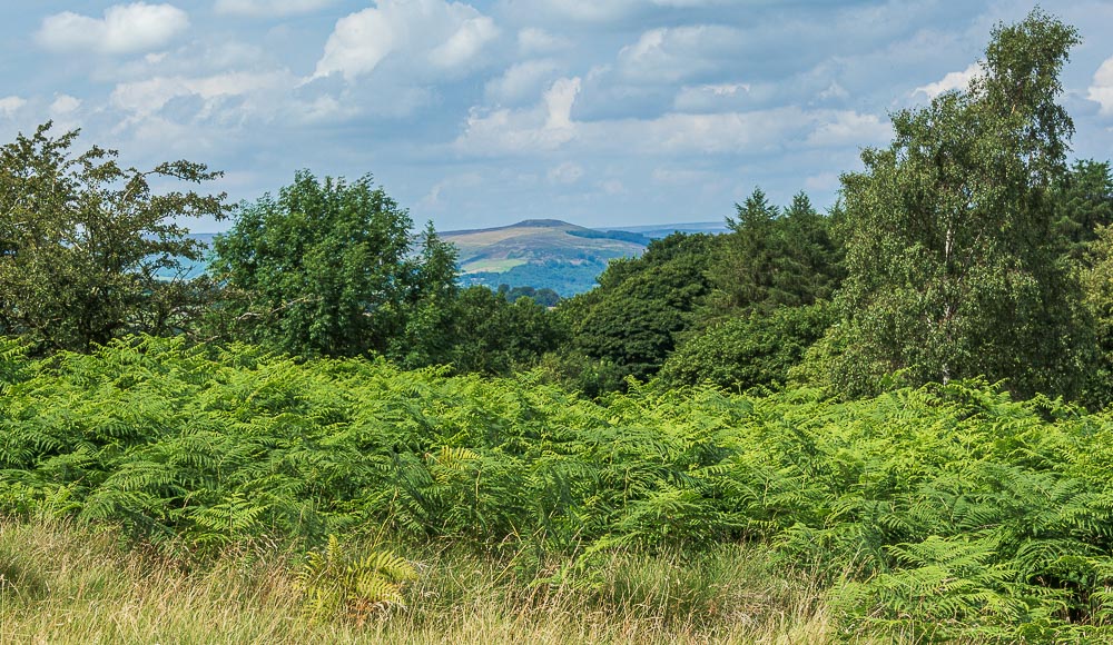 Win Hill